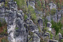Elbe Sandstone Mountains