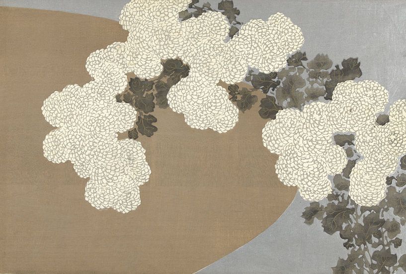 Chrysanthèmes de Kamisaka Sekka, 1909 par Gave Meesters