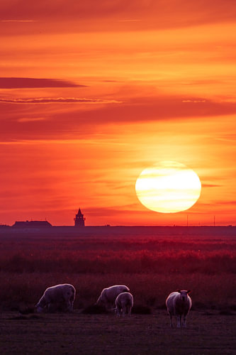 Sonnenuntergang bei Dagebüll von rosstek ®