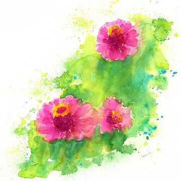 Trois zinnias en rose aquarelle sur Karen Kaspar
