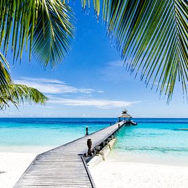 Tropical Paradise doorkijk op een bijna onbewoond eiland van Michael Bollen