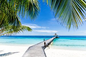 Tropical Paradise doorkijk op een bijna onbewoond eiland van Michael Bollen