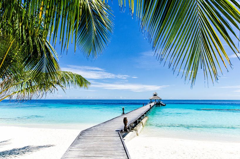 Tropical Paradise doorkijk op een bijna onbewoond eiland van Michael Bollen