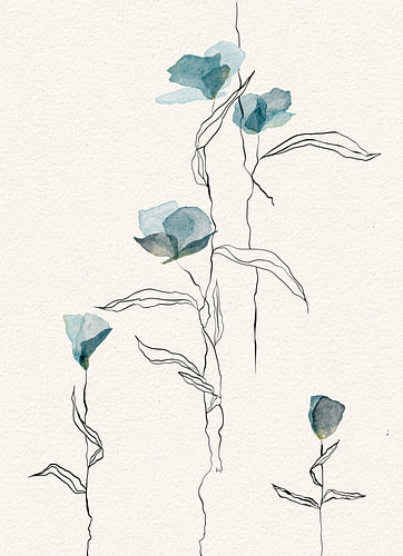 Sky High, aquarelle et dessin au trait représentant des fleurs bleues