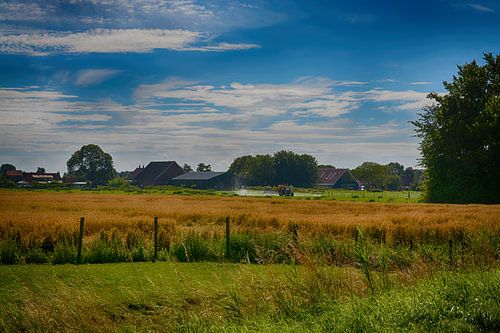 Hollands Landschap