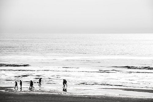 Noordzeekust in Zwart/Wit bij tegenlicht