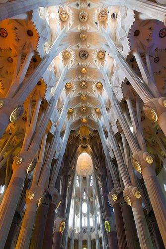 Sagrada Familia, Barcelona von Johan van Venrooy