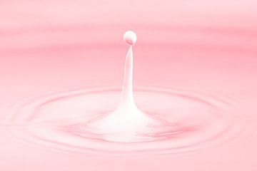 Drop pastel pink by Klaartje Majoor