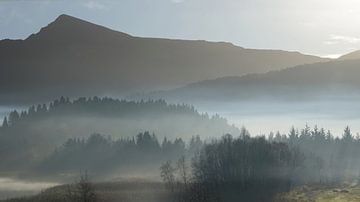 Foggy autumn morning at Lake Hosetvatnet in Norway by Aagje de Jong