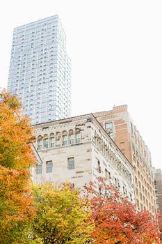 Skyscraper in New York in autumn