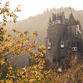 Burg Eltz Castle by Maureen Materman