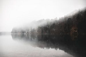Nature sauvage | Alpsee Allemagne | tons noirs et bruns | papier peint photo