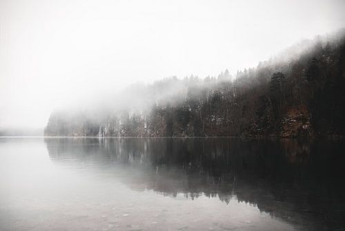 Ruige Natuur | Alpsee Duitsland | zwart bruine tinten | fotobehang