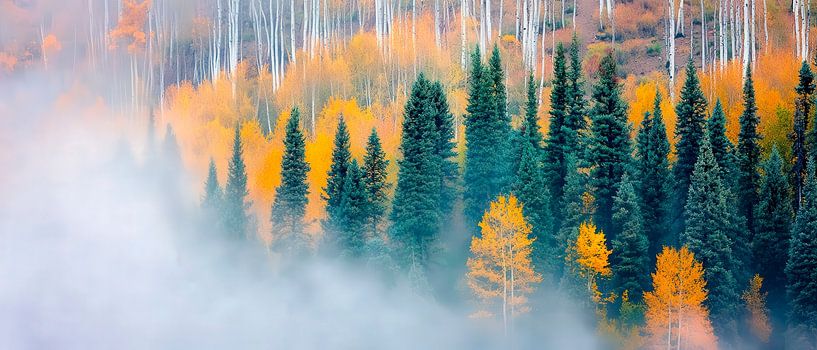 Autumn forest in the fog by Poster Art Shop