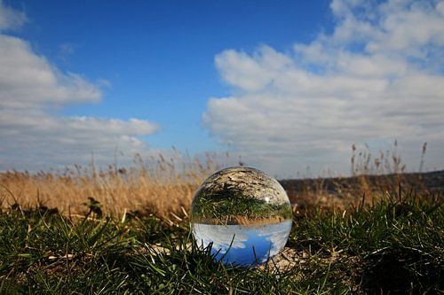 Glazen bol in het voorjaar