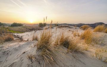 Dunes by Dirk van Egmond