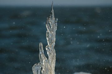 Bevroren tak met opspattend IJsselmeerwater van Erik van Riessen