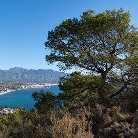 Vue sur la côte avec les montagnes et les arbres sur Adriana Mueller