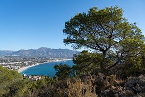 Blick auf die Küste mit Bergen und Bäumen