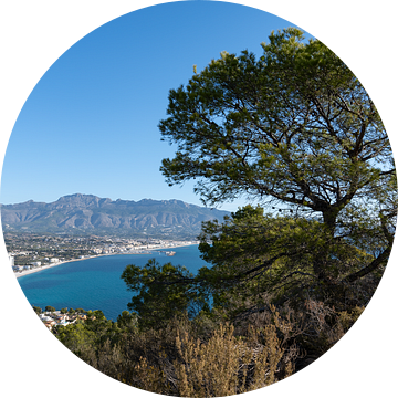 Uitzicht op de kust met bergen en bomen