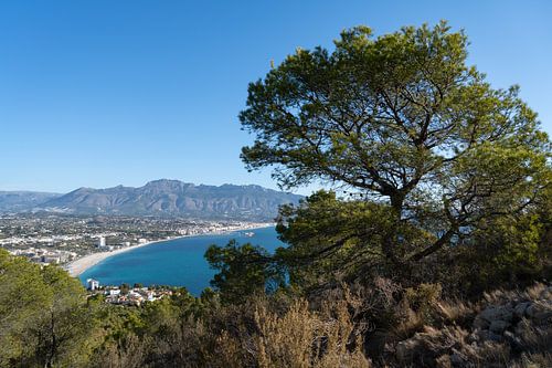 Uitzicht op de kust met bergen en bomen