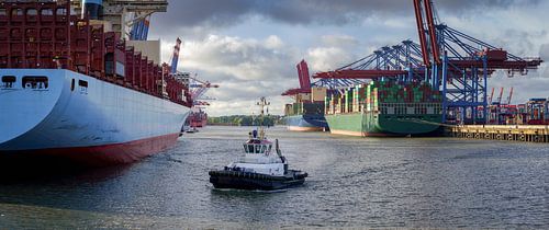 Containerschepen en sleepboten in de haven van Hamburg