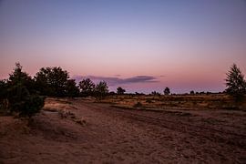 Éclat de lune 6 - Dunes de Loonse et Drunense sur Deborah de Meijer
