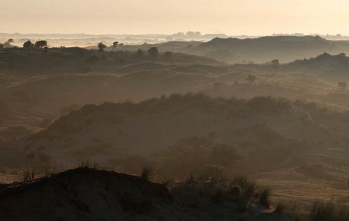 Amsterdamse Waterleiding Duinen