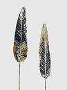 Browse trees by Studio Carper thumbnail