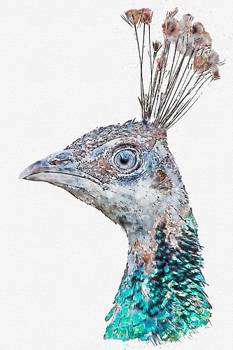 Portrait of a peacock (artwork)