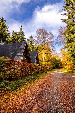 Autumn hike through the Spittergrund near Tambach-Dietharz to the waterfall by Oliver Hlavaty