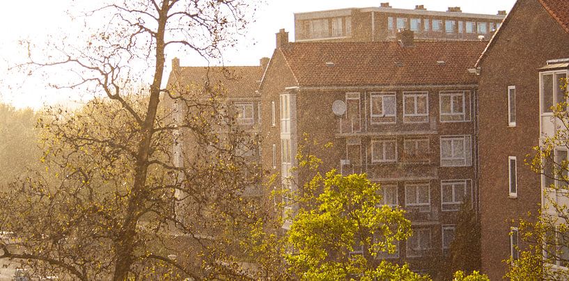 Regenachtig Amsterdam by Livay Consemulder