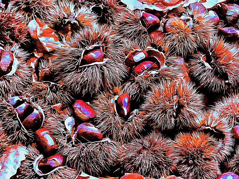 Chestnut Overload by Dorothy Berry-Lound