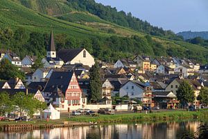 Zell zomerochtend aan de Moezel
