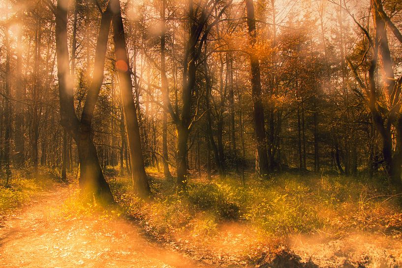 Si les arbres pouvaient parler (Hidden Village) par Diana Smits