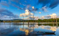 Het Brokopondomeer in Suriname