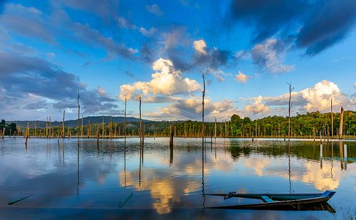 Lake Brokopondo in Suriname