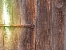 Detail 3 by Miriam Meijer, en pleine campagne.....