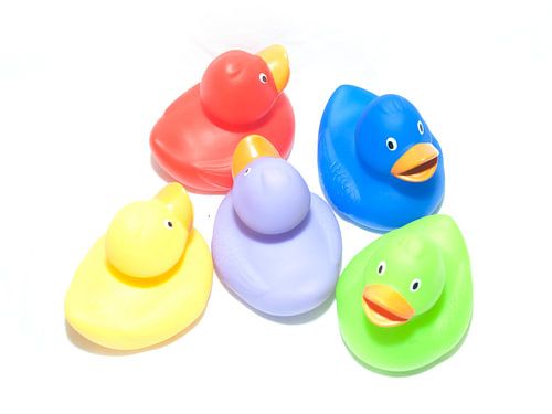 Eine Gruppe von Enten an der Wand!