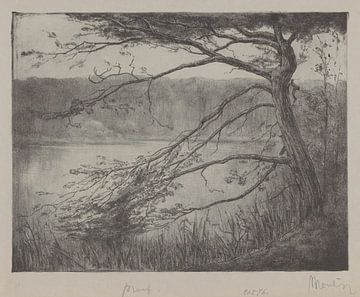 Simon Moulijn, Ven bij Oisterwijk, 1924 van Atelier Liesjes