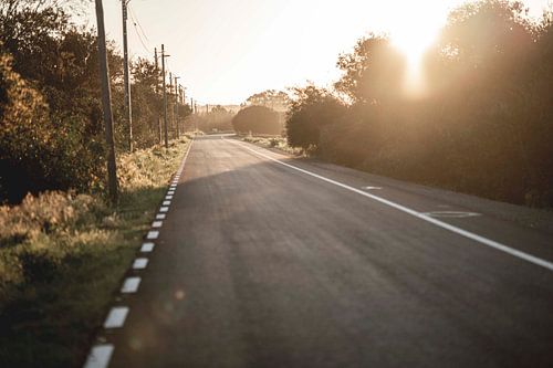 Weg in Zacht Ochtendlicht Eindeloze Rust