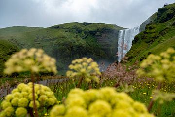 De Skogafoss Waterval, een bekende waterval in IJsland van Geerke Burgers