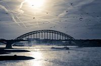 Waal bei Nijmegen