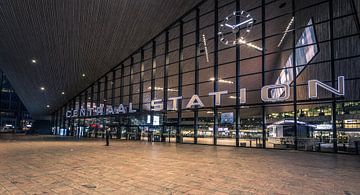 Rotterdam Centraal van René Sluimer