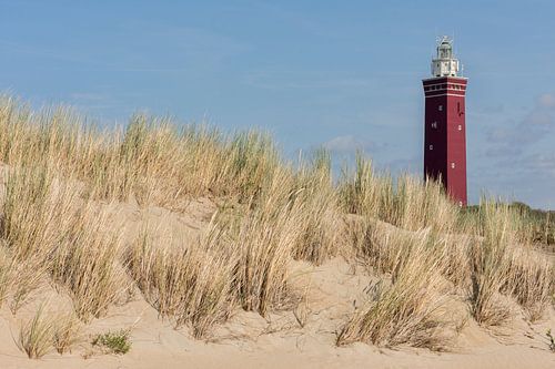 Leuchtturm von Ouddorp in den Dünen