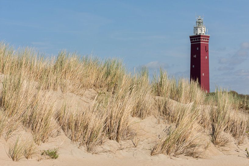 Ouddorp lighthouse in the dunes by Charlene van Koesveld