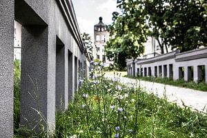 Lodz, Pologne : une rue dans un parc