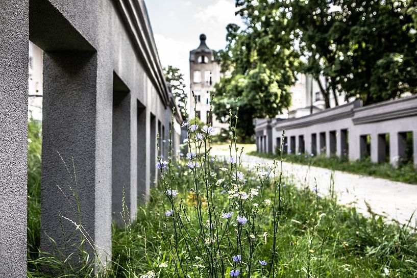 Lodz, Polen eine Straße in einem Park von Eric van Nieuwland