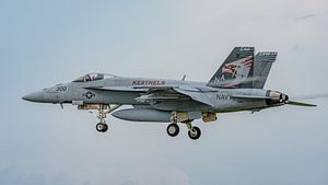 U.S. Navy Boeing F/A-18E Super Hornet von VFA-137.
