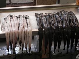 Espada  is een  delicatesse op madeira by Ingrid Van Maurik